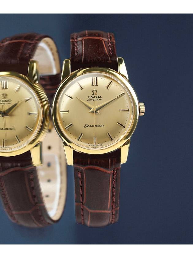 Seamaster Rare Gold Edition Men s Automatic Leather Watch - OMEGA - BALAAN 3