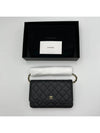 Classic Wallet On Chain Crossbody Bag Grained Calfskin Gold Black - CHANEL - BALAAN 6