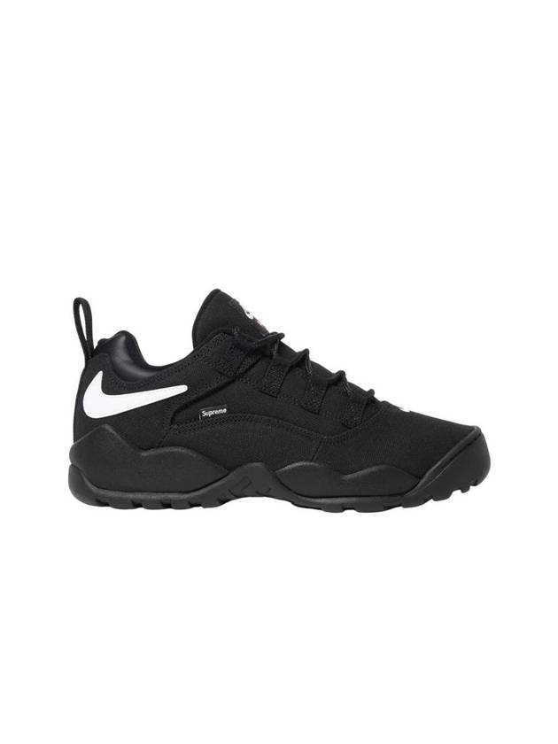 SB Darwin Low Top Sneakers Black - NIKE - BALAAN 1