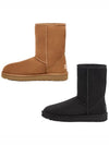 Classic Short 2 2 types Black Chestnuts 1016223W - UGG - BALAAN 1