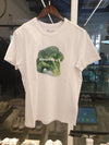 Broccoli Logo Typo Short Sleeve T-Shirt White - MOOSE KNUCKLES - BALAAN 2