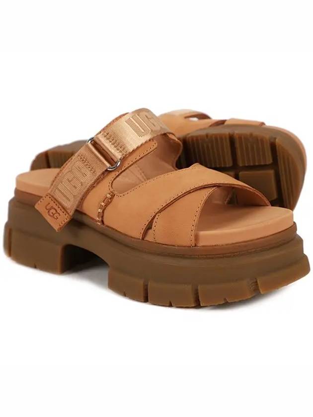 Ashton Slide Sandals Beige - UGG - BALAAN 3