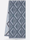 CD DIAMOND SCARF BLUE GRAY WOOL - DIOR - BALAAN 4