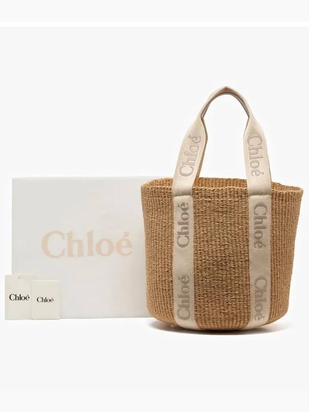 Bag C23AS380L18084 WILD GRAY - CHLOE - BALAAN 4