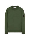 Logo Patch Round Neck Knit Top Green - STONE ISLAND - BALAAN 2