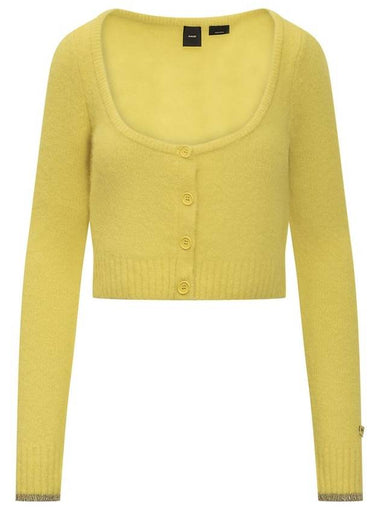 Pinko Colorpoint Cardigan - PINKO - BALAAN 1