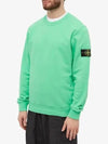 Wappen Patch Crew Neck Sweatshirt Green - STONE ISLAND - BALAAN 3