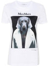 WOMEN S PRINTED COTTON T SHIRT 21946071600013 - MAX MARA - BALAAN 1