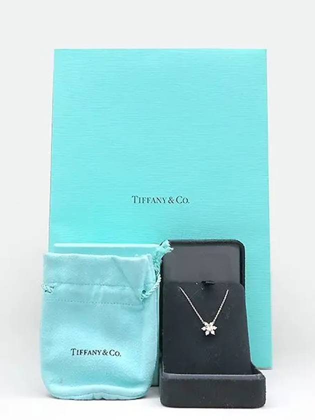 tiffany 0 29 necklace jewelry - TIFFANY & CO. - BALAAN 6