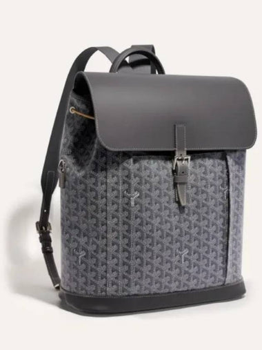 Alpine Backpack MM Gray Men Women - GOYARD - BALAAN 1