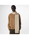 Men's Neo Petit Damier Scarf Beige - LOUIS VUITTON - BALAAN 2