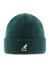 2978BC PINE Acrylic Cuff Pull On Beanie - KANGOL - BALAAN 2