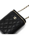 Classic Chain Cosmetic Caviar BLACK Champagnegold AP2195 - CHANEL - BALAAN 4