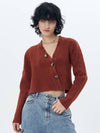 Ribbed Knit Cropped Cardigan Brick - ETCH - BALAAN 4