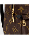 Palm Springs Monogram Mini Backpack Brown - LOUIS VUITTON - BALAAN 4