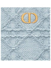 30 Montaigne Dea Raffia Pouch Blue - DIOR - BALAAN 6