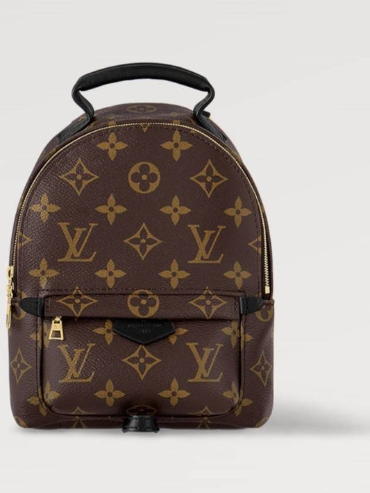 Palm Springs Monogram Mini Backpack Brown - LOUIS VUITTON - BALAAN 2