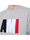 Big Logo Sweatshirt Grey - AMI - BALAAN 2