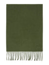 Buona Scarf Green - MAX MARA - BALAAN 1