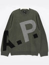 Pull Logo All Over Knit Top Green - A.P.C. - BALAAN 3