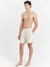 Big Graffiti Water Shorts Cream - STUSSY - BALAAN 3