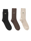 Men s Solid Gentleman Socks Bundle Brown - LACOSTE - BALAAN 1