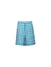 Check Bermuda Shorts Blue - PRADA - BALAAN 2