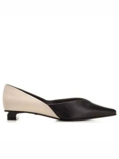 Point Toe Flat Beige Black - AMI - BALAAN 2