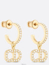 Claire D Lune Earrings Gold - DIOR - BALAAN 2