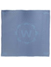 Dire Scarf Blue - MAX MARA - BALAAN 6