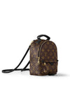 Palm Springs Monogram Mini Backpack Brown - LOUIS VUITTON - BALAAN 4