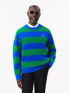 Men's Relaxed Fit Fuzzy Sweater Blue Green - LACOSTE - BALAAN 2