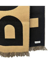 Logo Archive Scarf Brown - BURBERRY - BALAAN 8