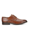 Melbourne Tie Derby Brown - ECCO - BALAAN 1