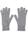 Lea Gloves Grey - MAX MARA - BALAAN 3