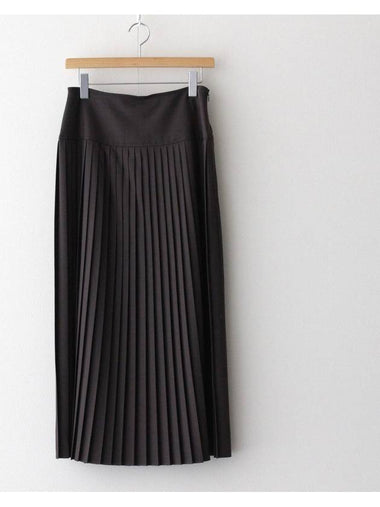 Super Fine Tropical Wool Pleated Skirt - AURALEE - BALAAN 1