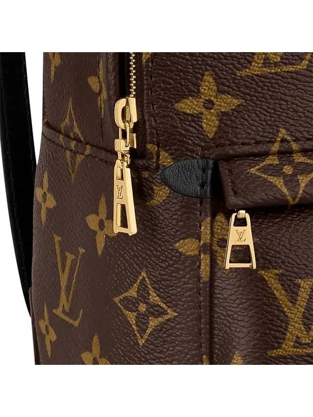 Palm Springs Monogram Mini Backpack Brown - LOUIS VUITTON - BALAAN 4