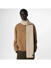 Men's Neo Petite Damier Scarf Beige - LOUIS VUITTON - BALAAN 2