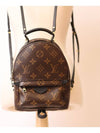 Palm Springs Monogram Mini Backpack Brown - LOUIS VUITTON - BALAAN 3