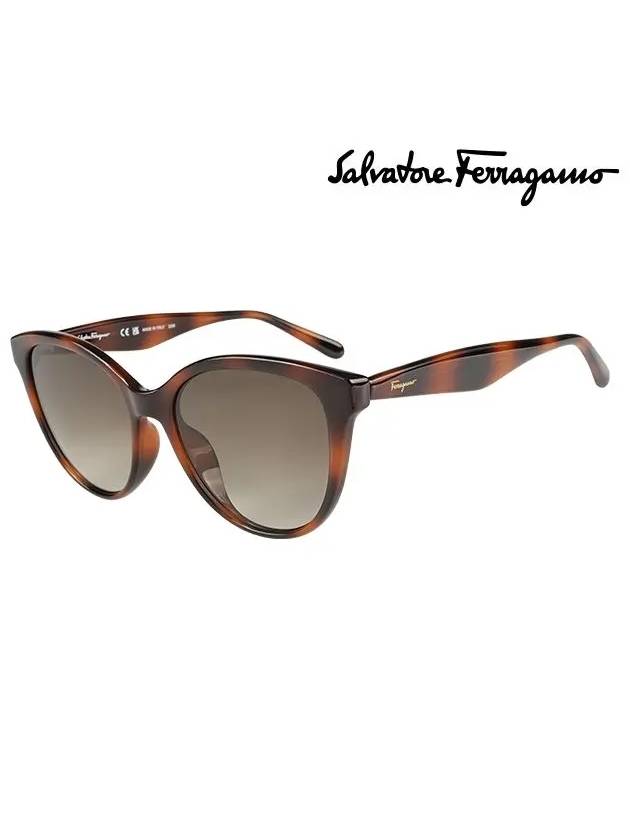 Round Gradient Cat-Eye Sunglasses Brown - SALVATORE FERRAGAMO - BALAAN 3