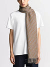 Dior Oblique Double Sided Scarf Gray Brown Wool Cashmere - DIOR - BALAAN 3