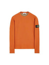 Men's Wappen Patch Crewneck Knit Sweatshirt Sienna Brown - STONE ISLAND - BALAAN 1