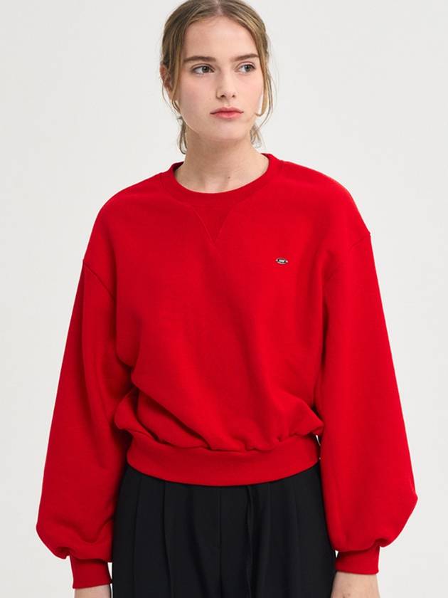 Passion Logo Crop Sweatshirt Red - SORRY TOO MUCH LOVE - BALAAN 2