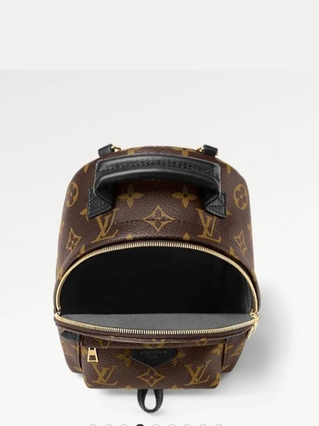 Palm Springs Monogram Mini Backpack Brown - LOUIS VUITTON - BALAAN 5