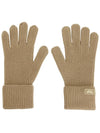 Zamia Gloves Brown - MAX MARA - BALAAN 2