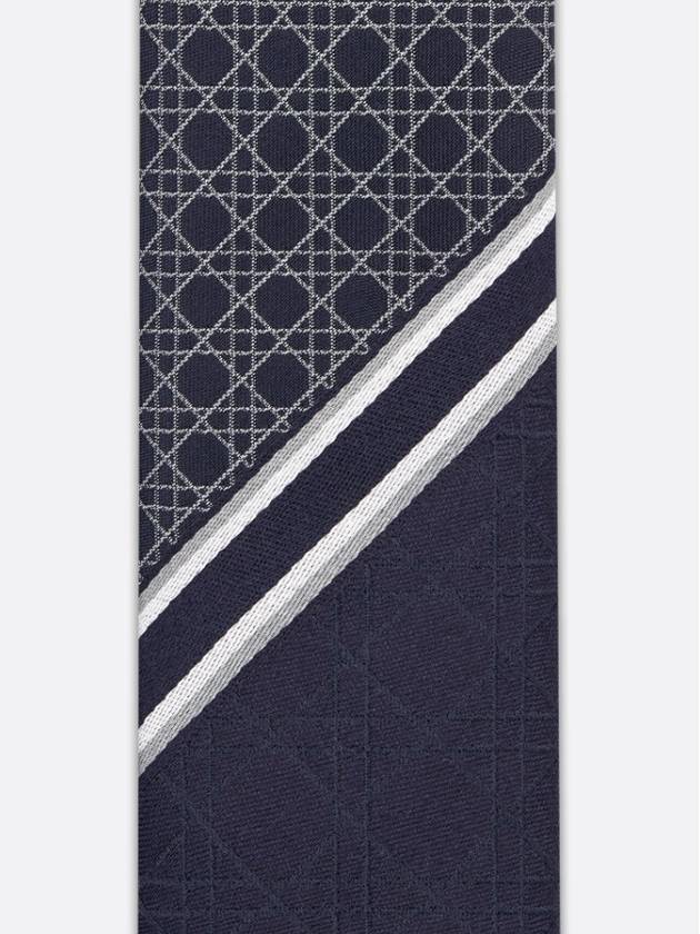 Striped Cannage Silk Tie Navy - DIOR - BALAAN 6