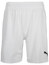 Team Final Shorts - PUMA - BALAAN 3