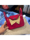 Mini Lindy Bag Franvoise Rouge Cellier Swift Silver U - HERMES - BALAAN 7