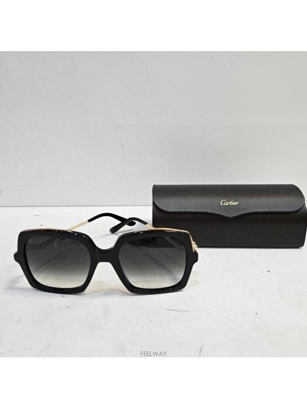 men sunglasses - CARTIER - BALAAN 1