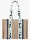 Woody Medium Tote Bag Green Blue - CHLOE - BALAAN 1